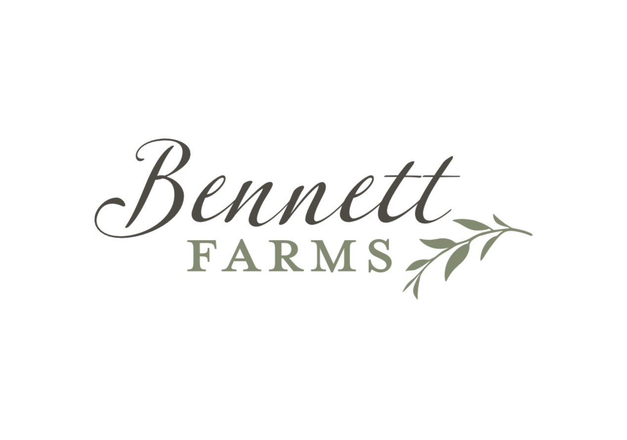 Logo for the vendor