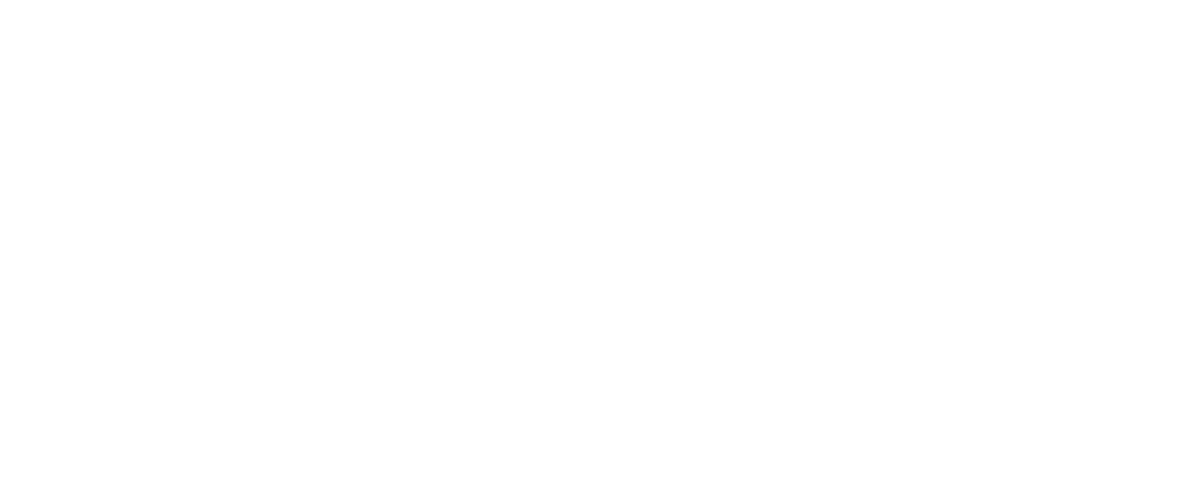 Physta-logo