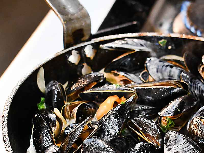Crab Shed Salcombe - the freshest of crab, landed, cooked and hand picked here on the quay