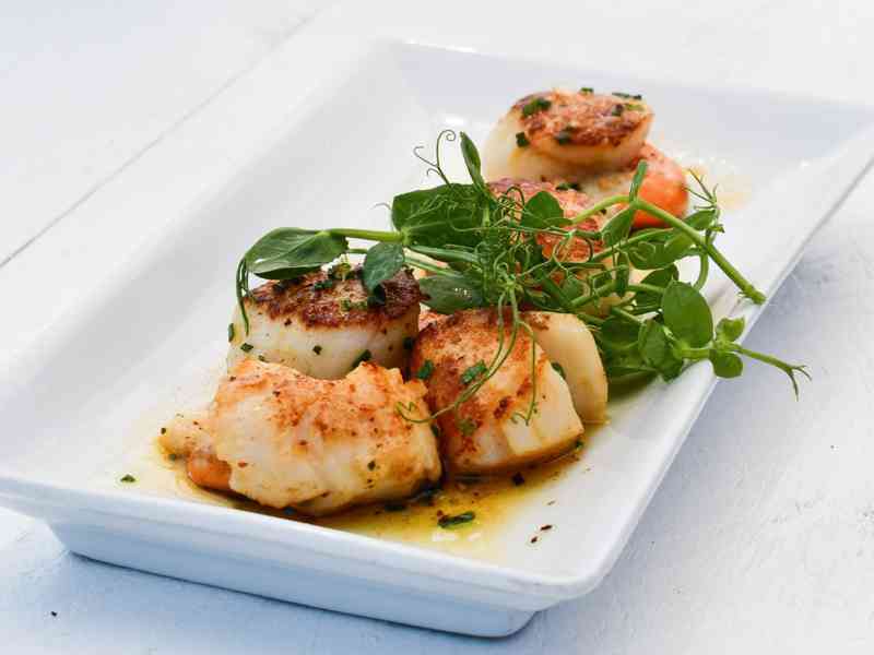 The Crab Shed Salcombe restaurant - waterside seafood dining overlooking the harbour