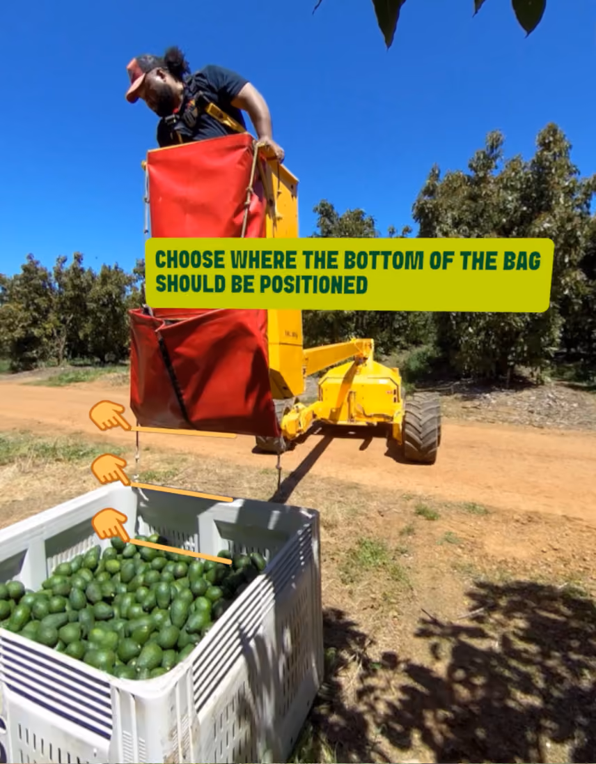 VR training scenario: user prompted to choose where the bottom of the picking bag should be positioned over collection tray.