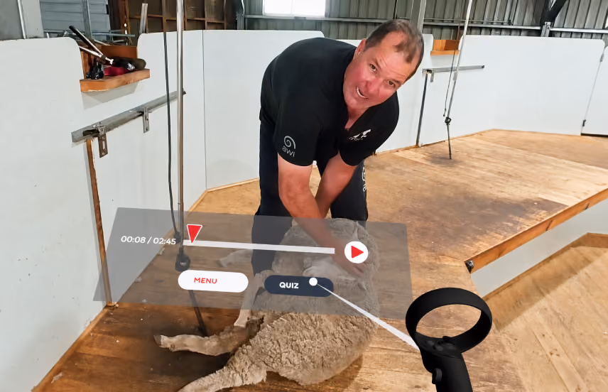 VR sheep shearing training with a video tutorial playing on screen, alongside Menu and Quiz, while a trainer demonstrates the technique.