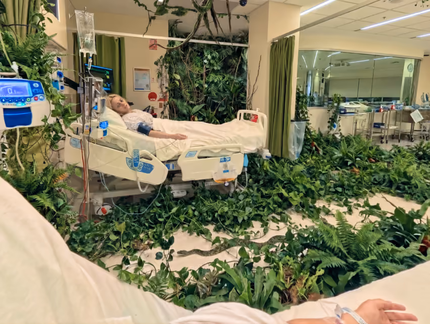 First-person view from a hospital bed of a patient in the next bed, with the ward overgrown by vines, ferns, and a snake on the floor.
