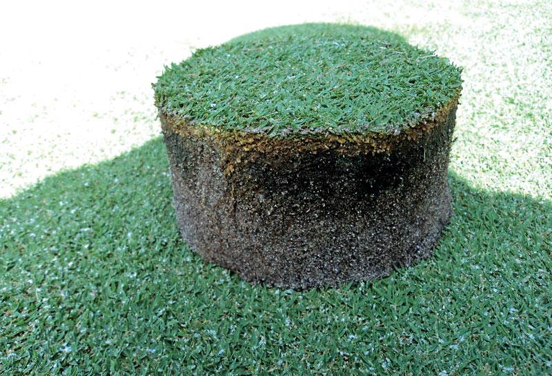 Understanding Black Layer on Golf Course Greens