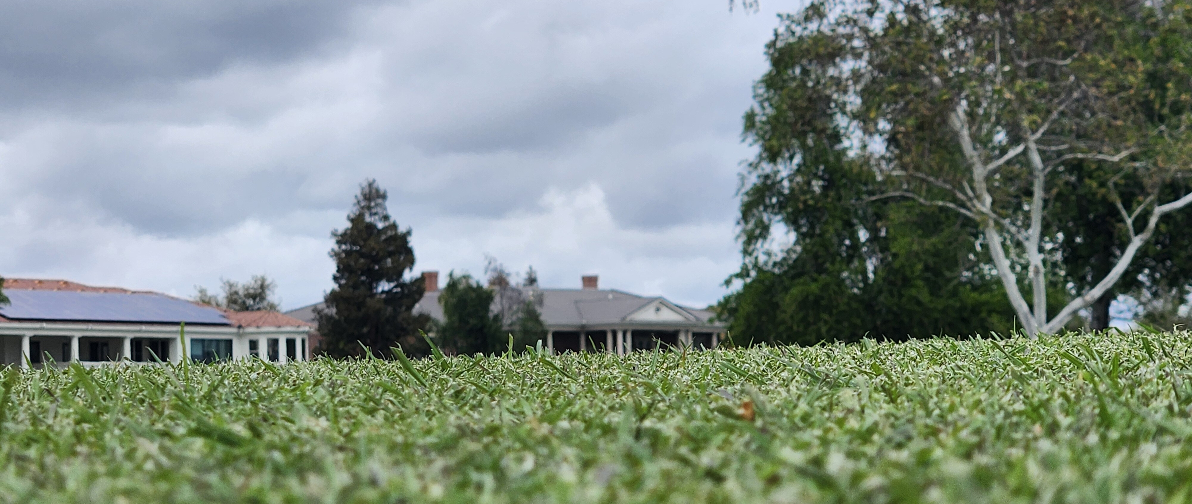 High Bicarbonate Irrigation Water on Golf Courses