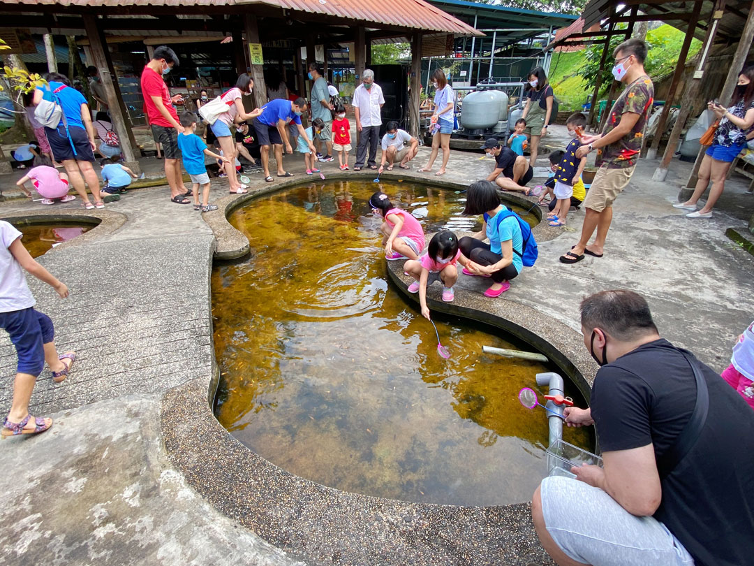Longkang Fishing Qian Hu Fish Farm