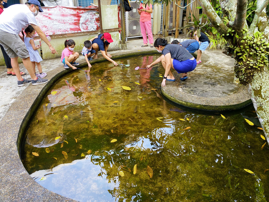 Longkang Fishing Qian Hu Fish Farm