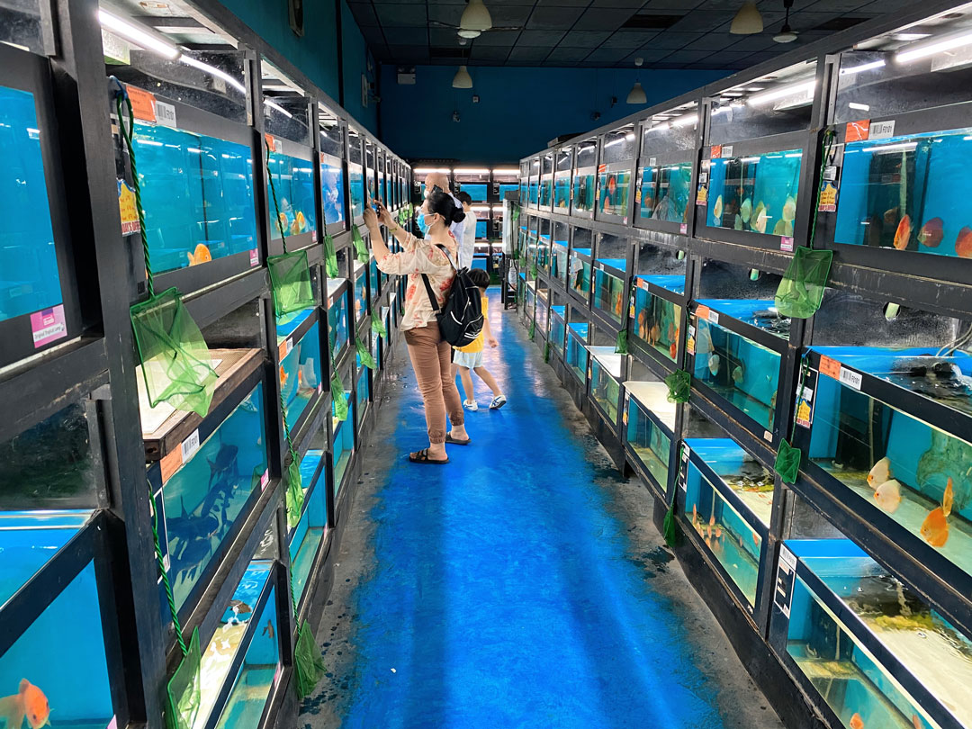 Qian Hu Fish Farm