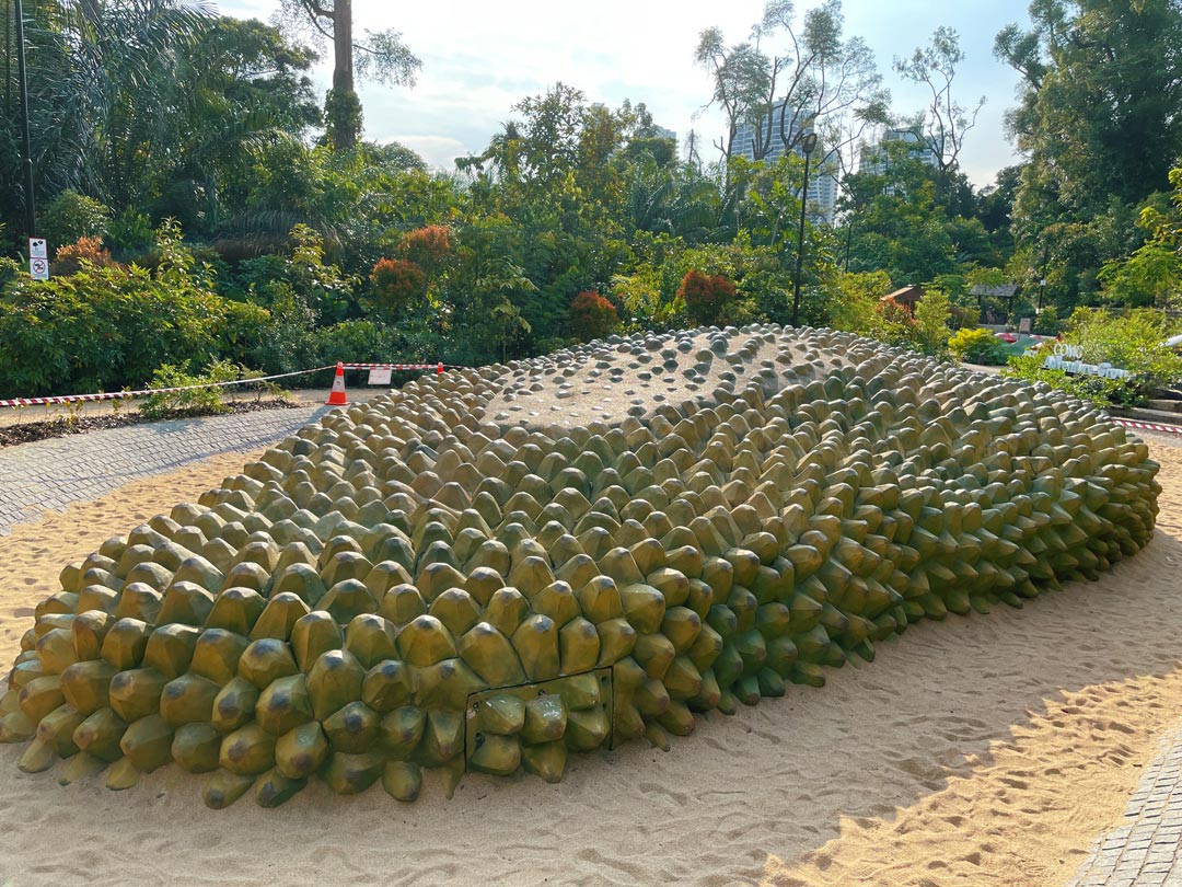 Como Adventure Grove