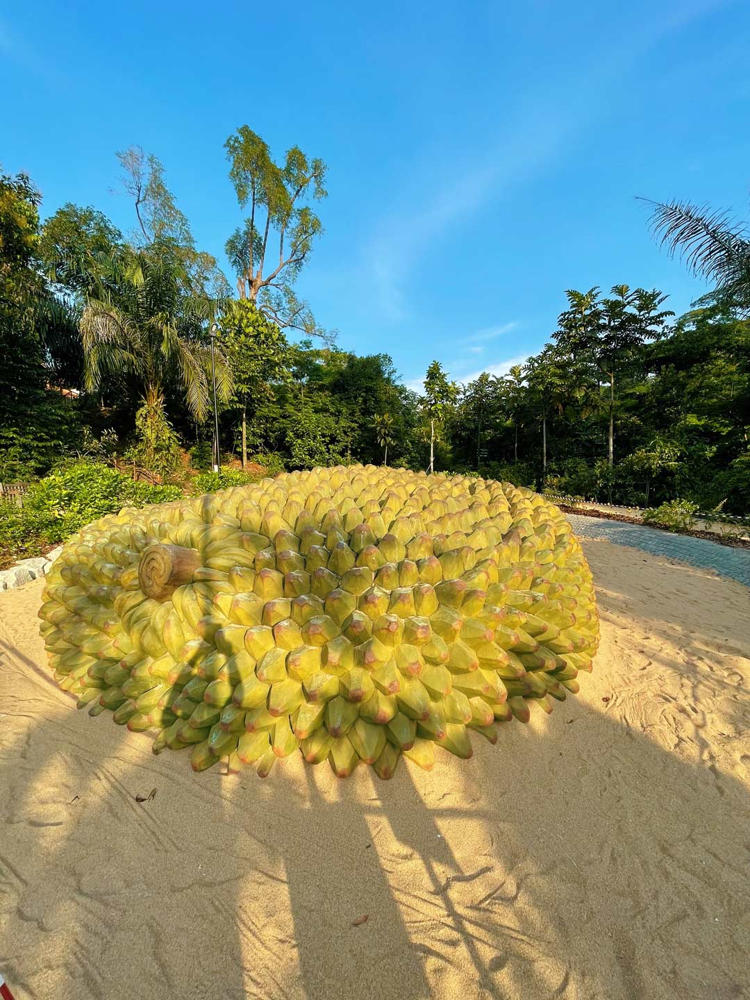 Como Adventure Grove