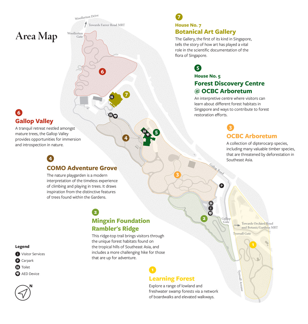 Como Adventure Grove