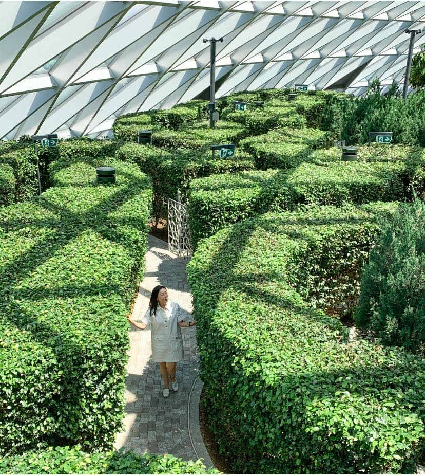 Hedge Maze