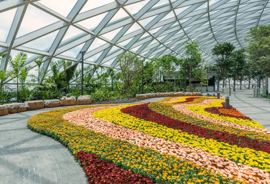 Petal Gardens