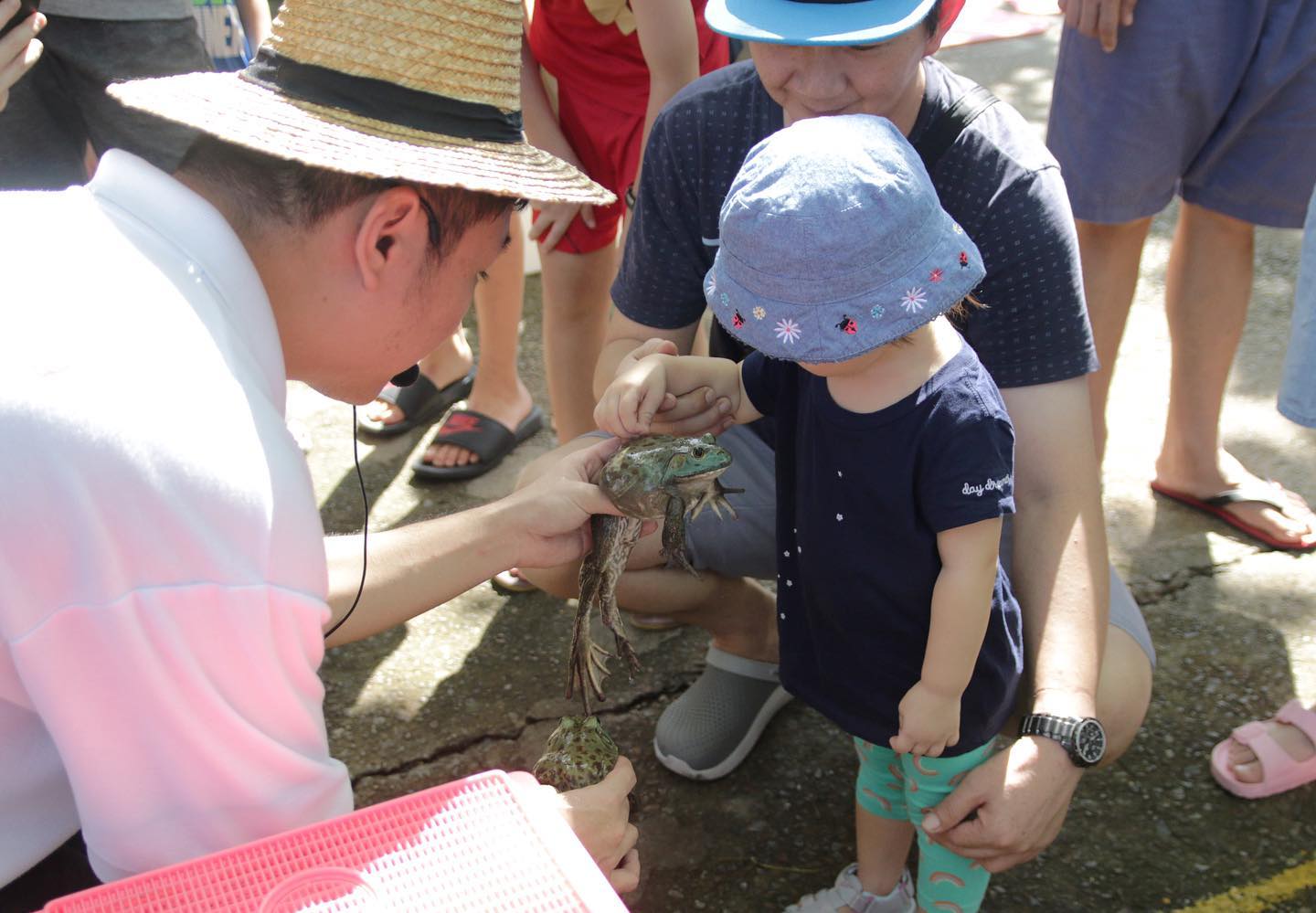 Jurong Frog Farm