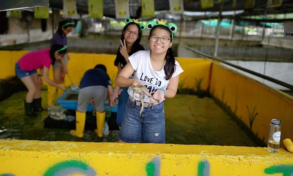 Jurong Frog Farm