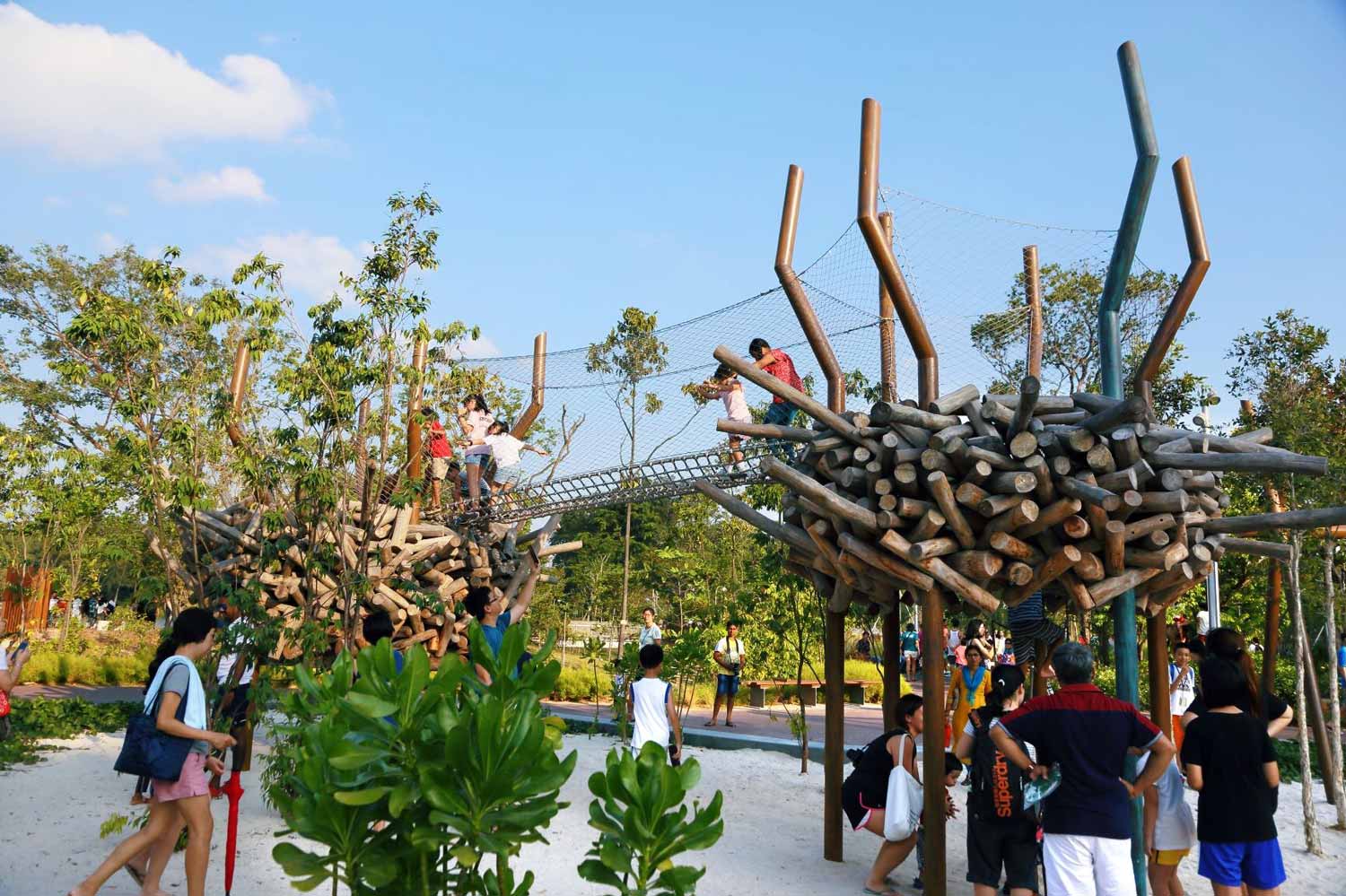 Forest Ramble at Jurong Lake Gardens