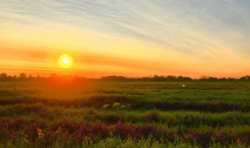 Summer 2025 Newsletter