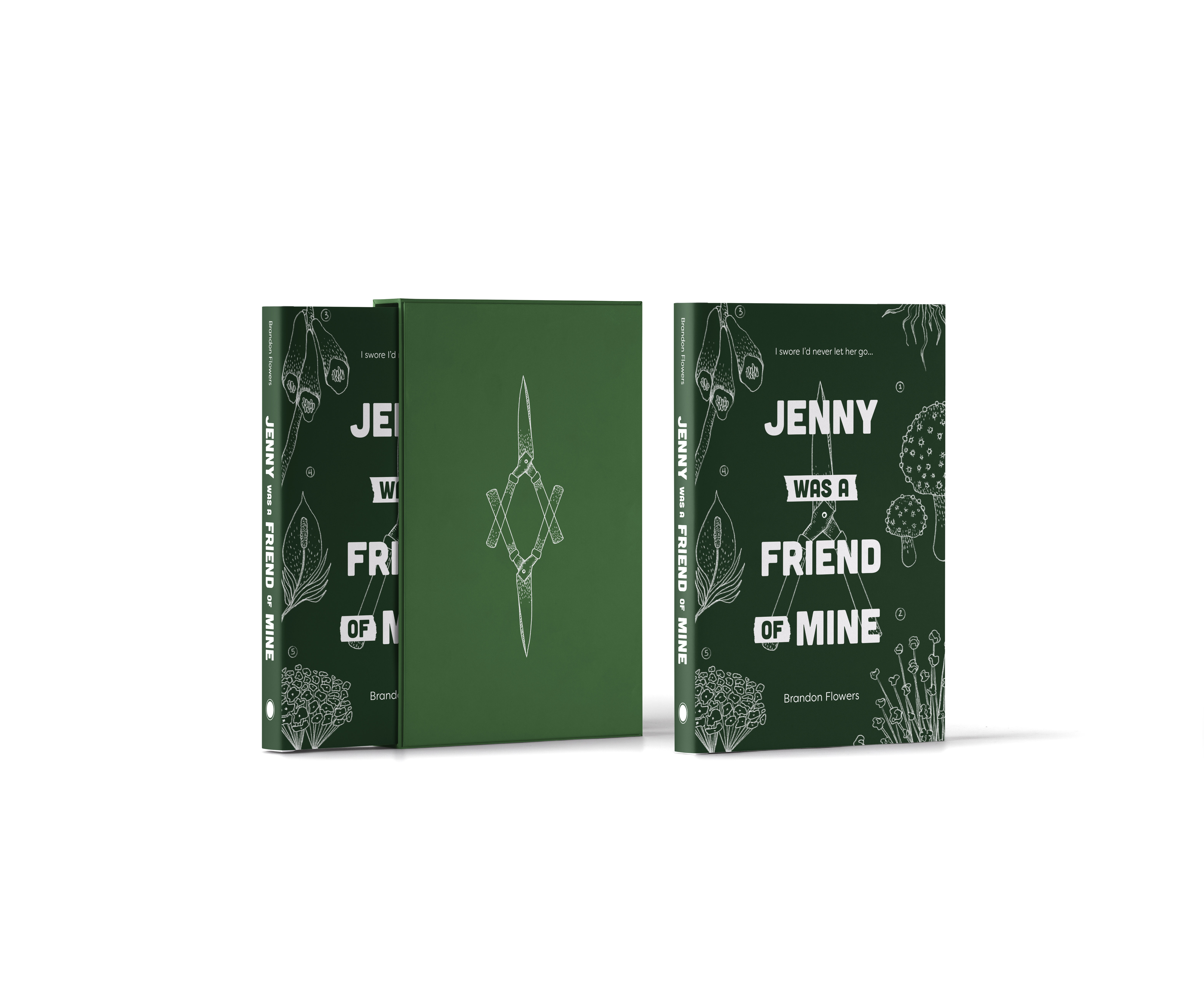 book cover and case mockup 