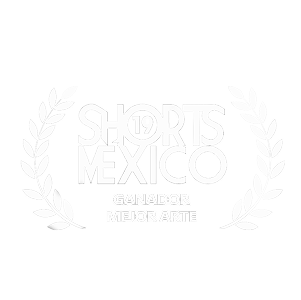 Shorts Mexico Winner best art