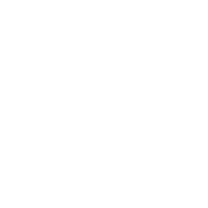 cinema on the bayou narrative winner
