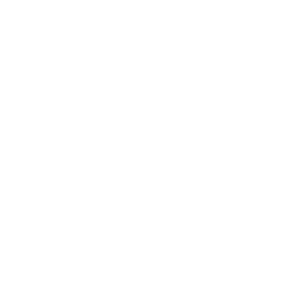 Ficens Festival