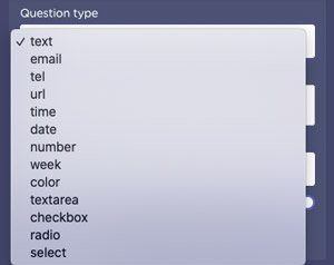 11-multi-question-field-type