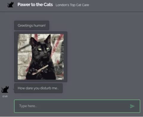 Cat Chatbot