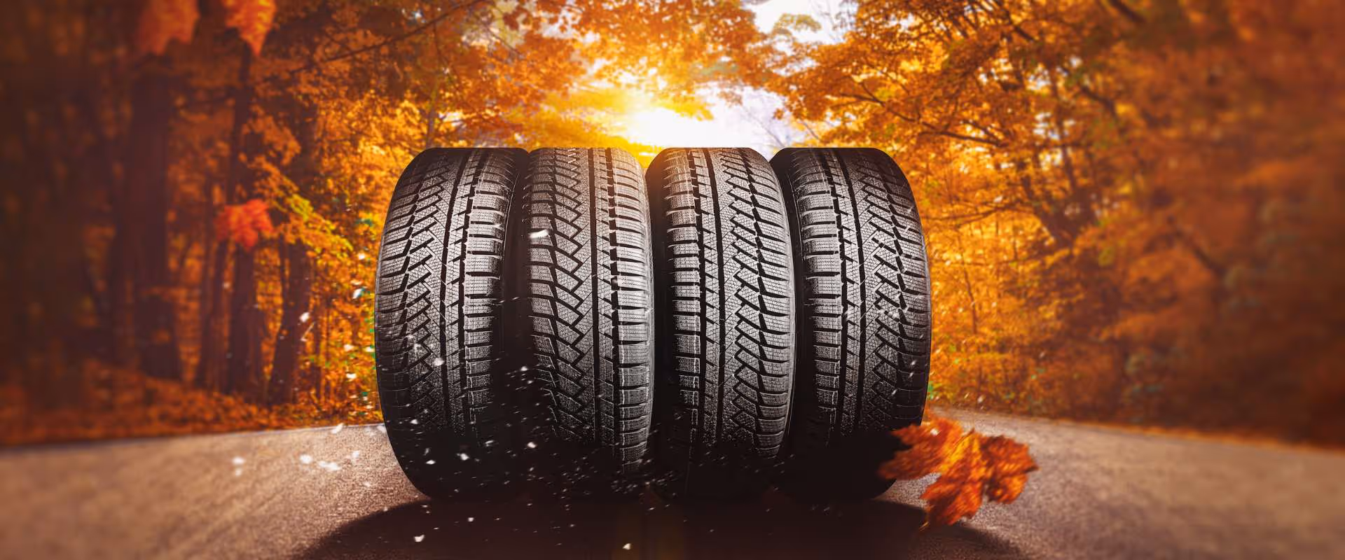 Jesenná akcia na geometriu