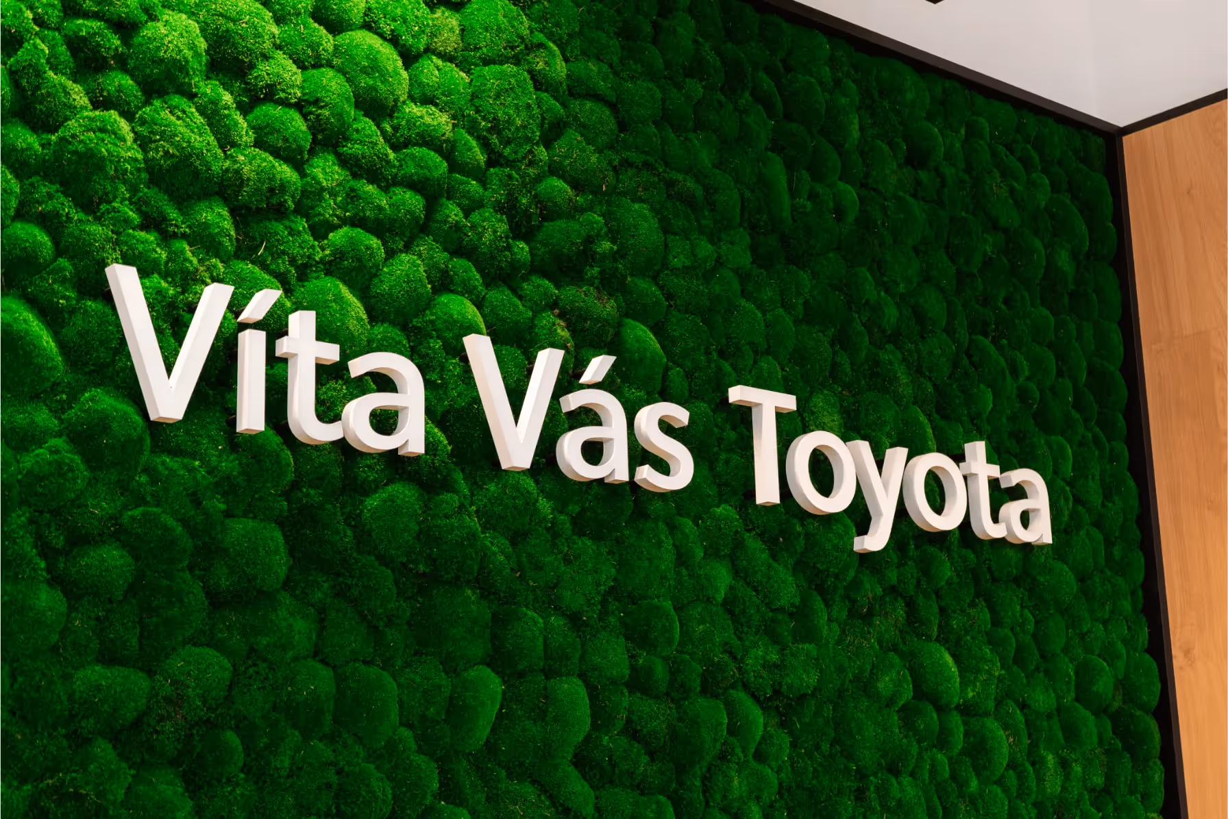 Todos Trenčín Toyota