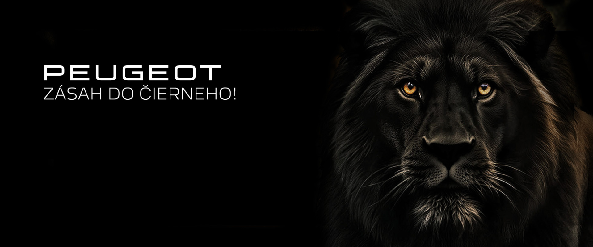 Zásah do čierneho!