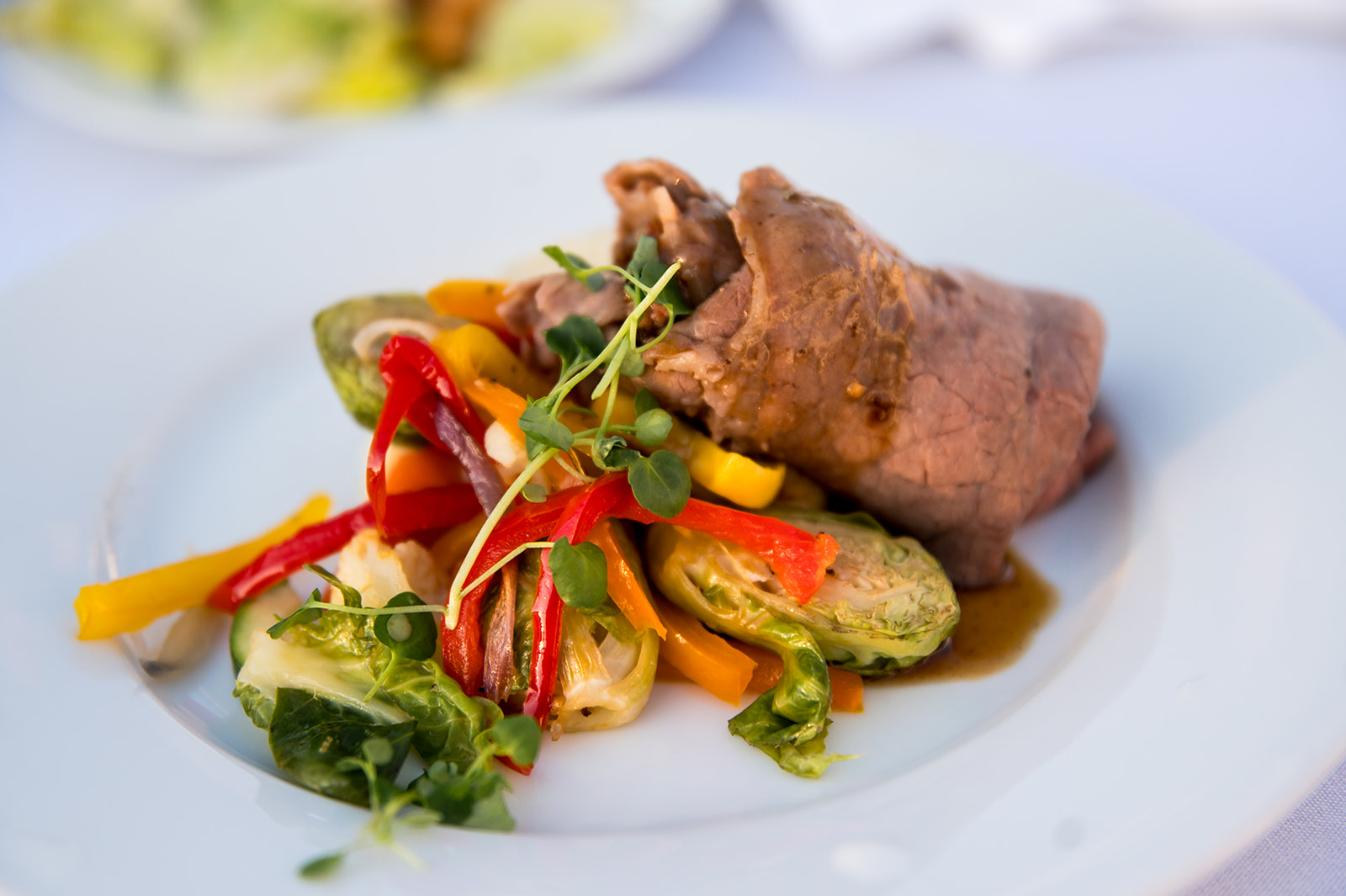 Dinner Plate