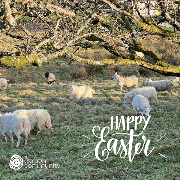 Red Oak with heartbeat graphic