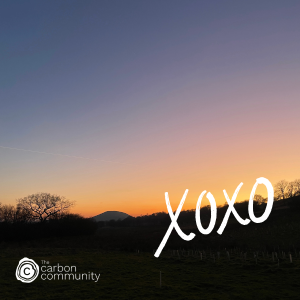 Sunset at Glandwr Forest with xoxo