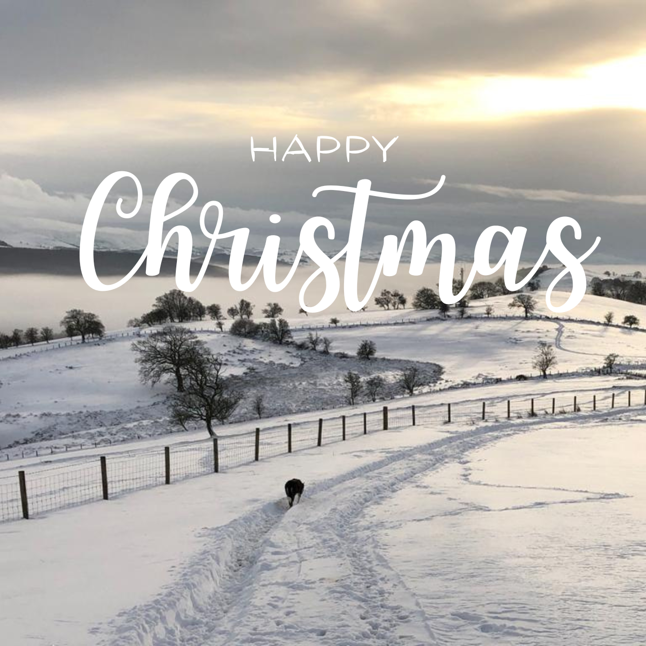 Snow covered landscape with Happy Christmas message