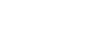 Netsuite logo