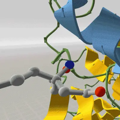 Close-up of a rotating 3D protein model, with a ball-and-stick ligand molecule bound near the blue and yellow ribbon structure.