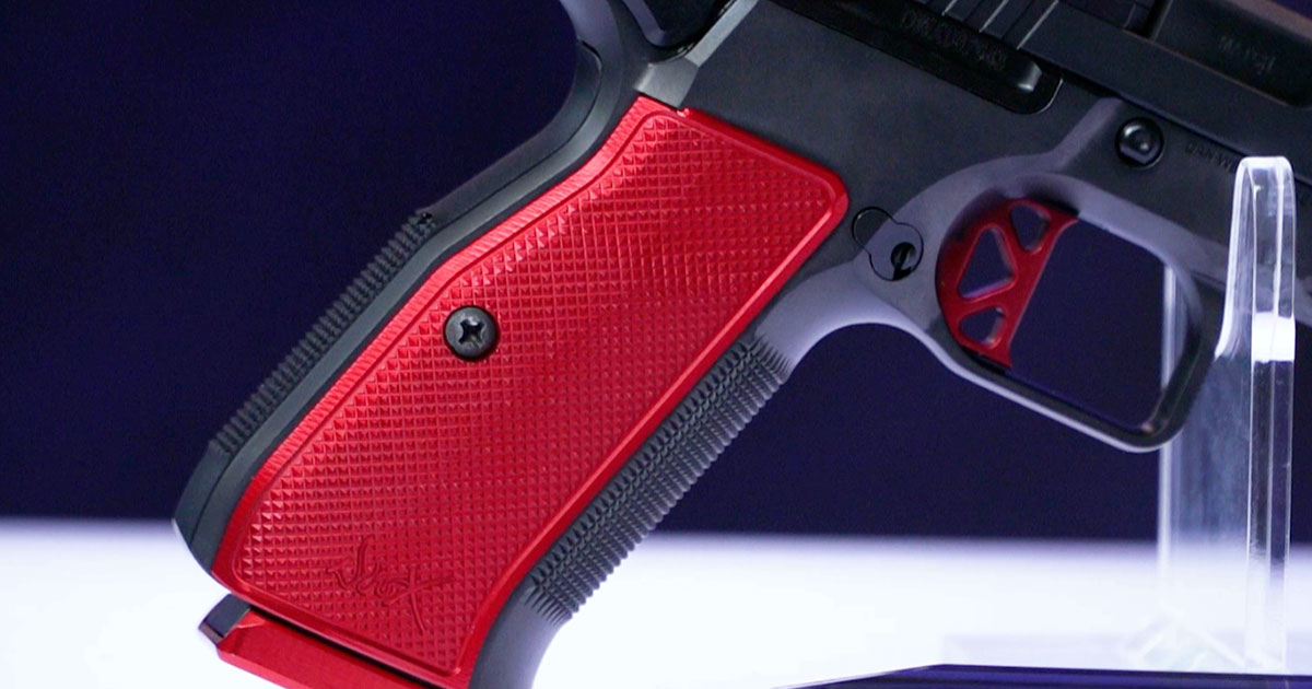 Dan Wesson DWX pistol detail