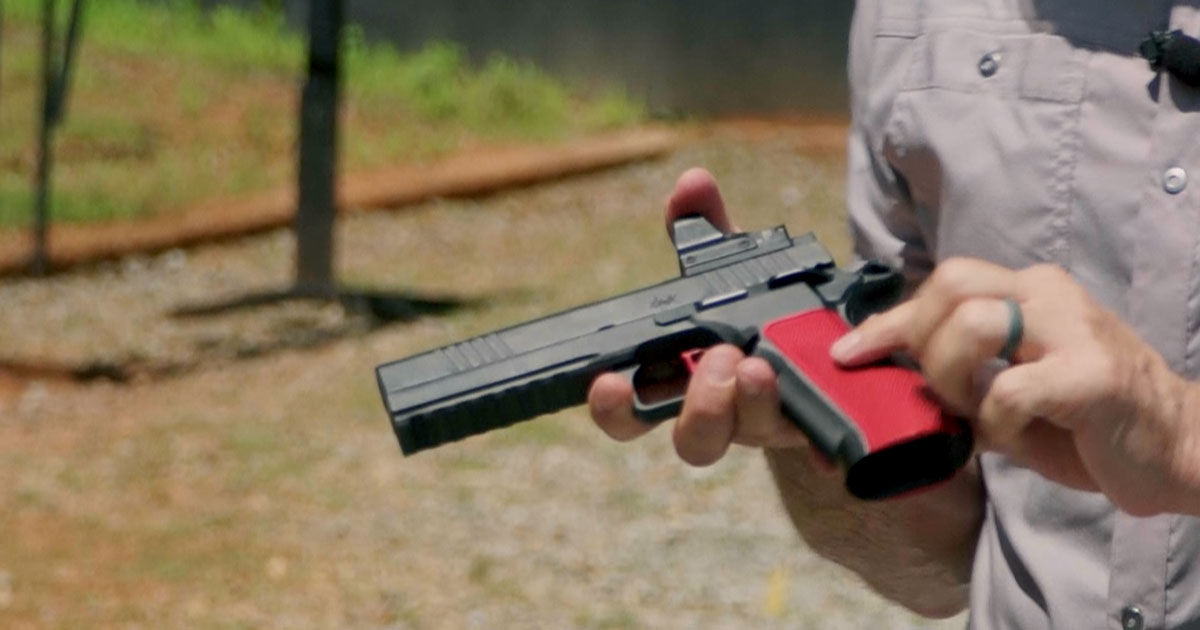 Dan Wesson DWX pistol