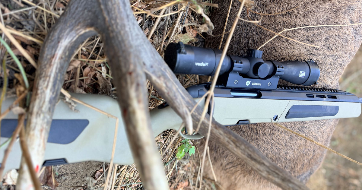 Steyr Scout rifle in .308 Winchester in the field