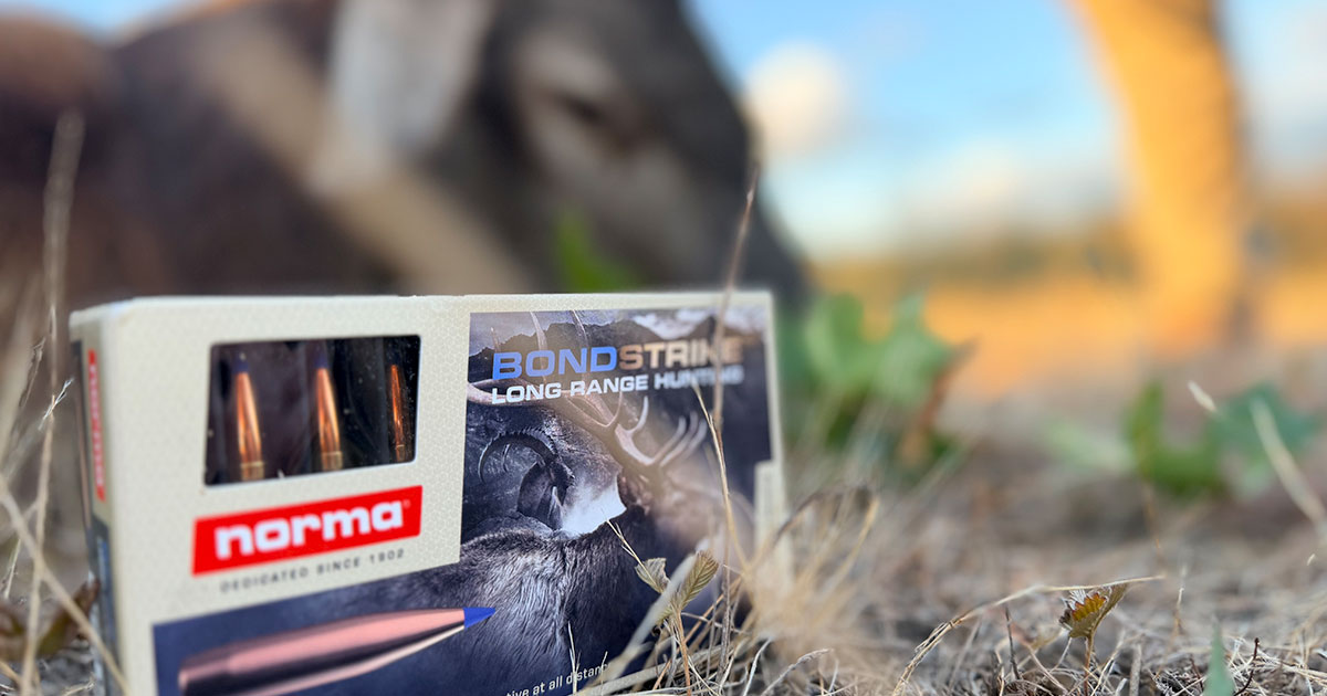Norma BondStrike hunting ammunition