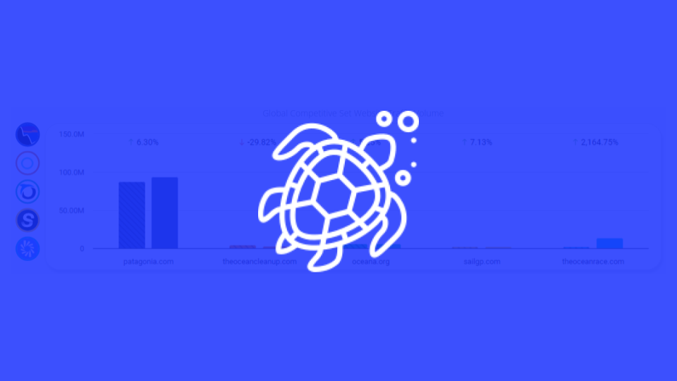 Competitor Digital Snapshot Report™ Ocean Conservation