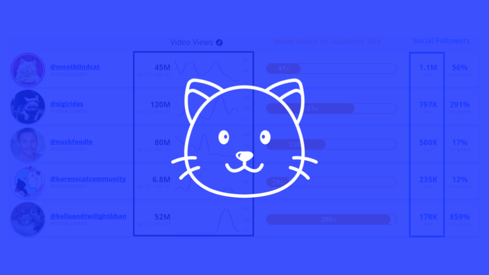 Top TikTok Influences for the Cat Owner Audience in Q2 2023