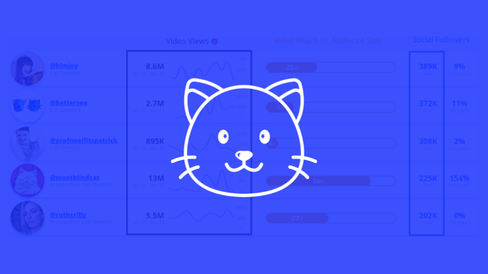 Top Instagram Influences for the Cat Owner Audience in Q2 2023