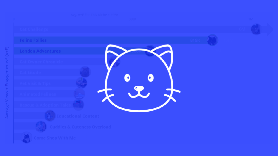 Content Opportunities for the Cat Owner Audience on TikTok in Q1 2023