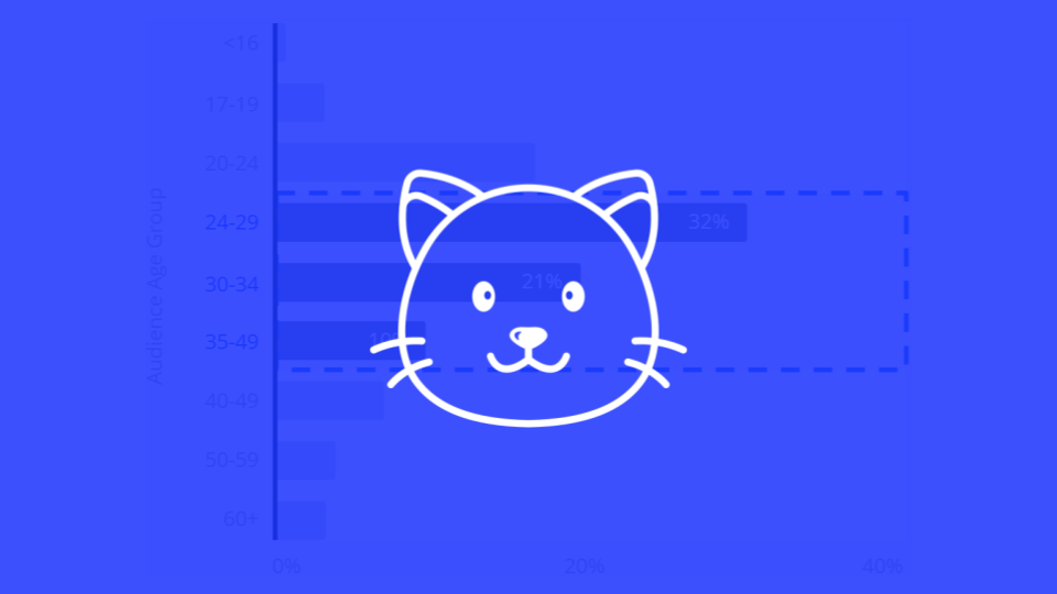 Everything You Need to Know About the Online Behaviour of Young Female Cat Owners with No Children in Urban UK Cities
