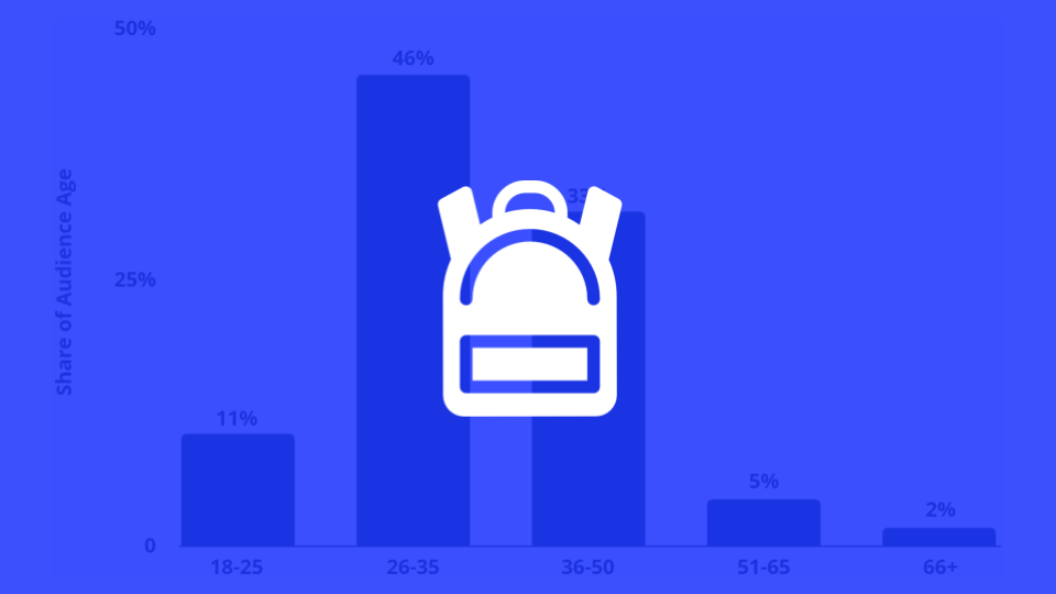 Using Bag Industry Audience Behaviour to Inform Digital Ad Targeting