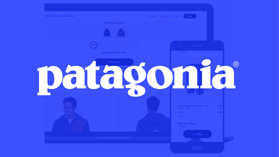 8 Lessons From Patagonia’s Website