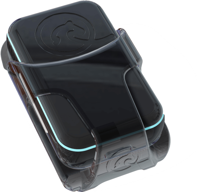 EQUIMO - horse training tracker, application and analysis