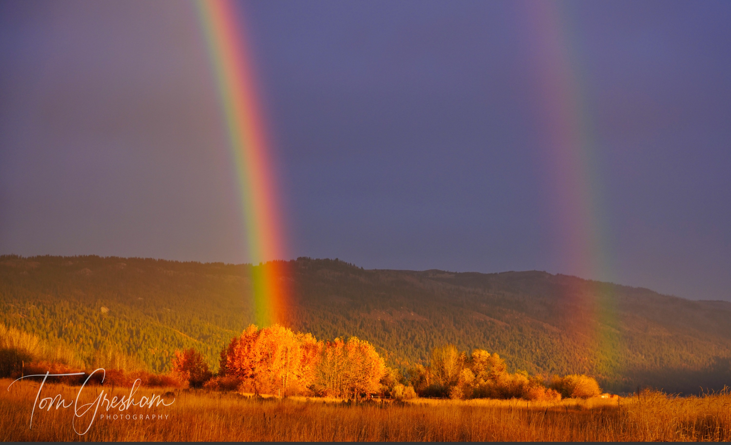 rainbow