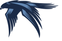 Закрытые торги на портфель ООО ПКО "ЦВЗ"